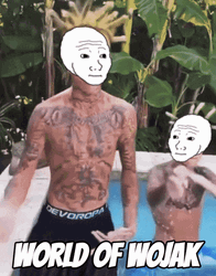 Island Boys World Of Wojak Meme