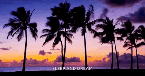 Island Vibes GIF