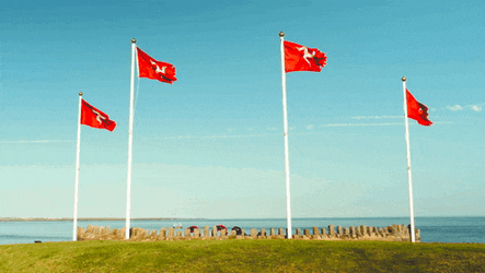 Isle Of Man Manx GIF