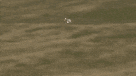 Isle Of Man Manx GIF