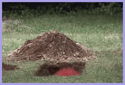 It Came Out Of The Pit GIF