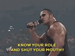 It Doesnt Matter The Rock Know Your Role GIF