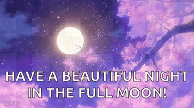 It Is A Beautiful Night In The Full Moon With A Tree Branch In The Foreground . GIF