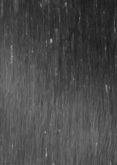 It Is A Black And White Photo Of Rain Falling On A Surface . GIF