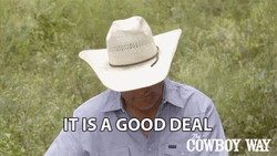 It Is A Good Deal Booger Brown GIF