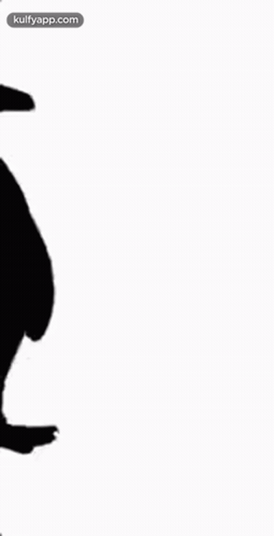 It Is A Silhouette Of A Penguin On A White Background . GIF