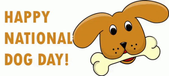 It Is Happy Dog National Dog Day GIF