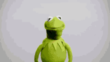 It Is Wednesday My Dudes Kermit GIF
