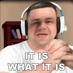 It Is What It Is Youtuber GIF