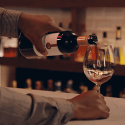 It's 5 O'clock Somewhere Man Pouring Wine GIF