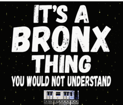 It's A Bronx Thing You Would Not Understand GIF