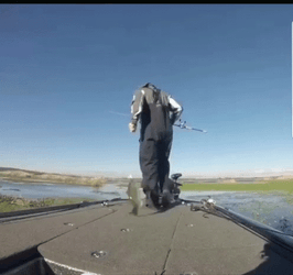 It's A Funny Fishing Day GIF