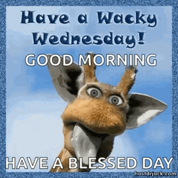 It's A Glorious Wednesday Good Morning GIF