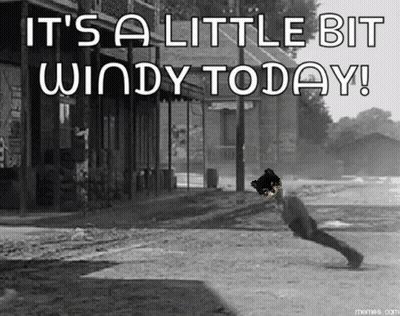 It's A Little Bit Windy Today GIF