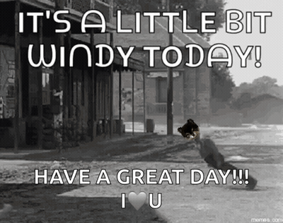 It's A Little Bit Windy Today Have A Great Day I Love You GIF