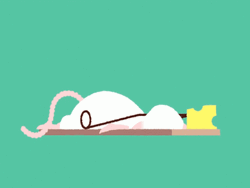 It's A Mouse Trap Cheese GIF