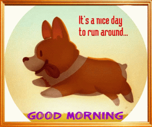 It's A Nice Race Day Dog Run GIF