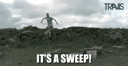 It's A Sweep Sweeping GIF