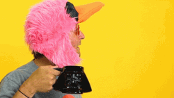 It's A Trap Funny GIF