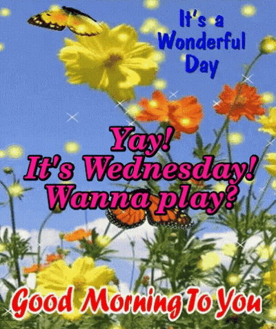 It 'S A Wonderful Day , Yay ! It 'S Wednesday ! Wanna Play ? Good Morning To You . GIF