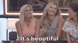 It's Beautiful Big Brother Girls GIF