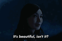It's Beautiful Isn't It GIF