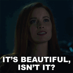 It's Beautiful Isn't It Eleanor Bonneville GIF