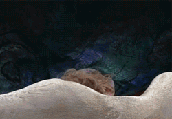 It's Beautiful Morning GIF