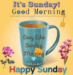 It's Cute Sunday Good Morning GIF