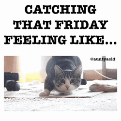 It's Friday Shaquille O'Neal GIF