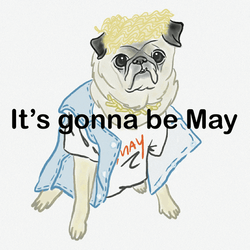 It's Gonna Be May Animated Justin Timberlake Dog GIF