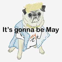 It's Gonna Be May Justin Timberlake Cute Dog  GIF