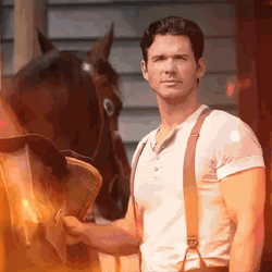 It's Gonna Be May Kevin McGarry With Horse GIF