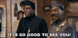 It's Good To See You Coming To America GIF