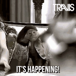 It's Happening Monkey Pointing Look GIF