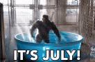 It's July Happy Gorilla