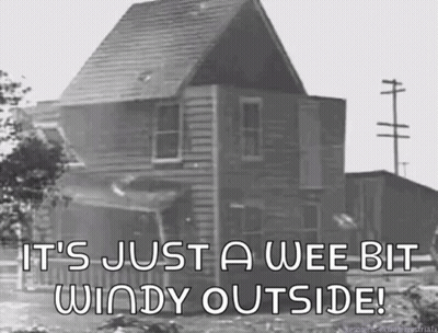 It's Just A Wee Bit Windy Outside GIF