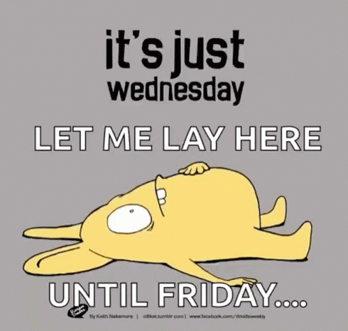 It 'S Just Wednesday Let Me Lay Here Until Friday ... GIF