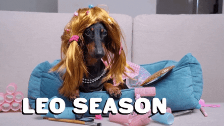 It's Leo Season GIF