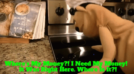 It's My Money And I Want It Now Frantic Puppet GIF