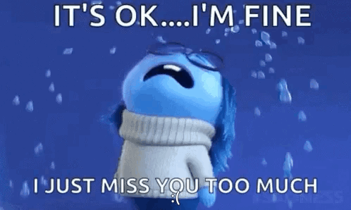 It 'S Ok ... I 'M Fine I Just Miss You Too Much GIF