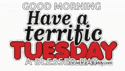 It's Only Terrific Tuesday GIF