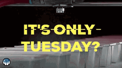 It's Only Tuesday Struggle Is Real GIF