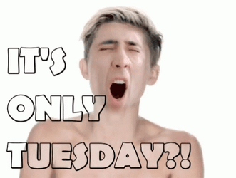It's Only Tuesday Survival Mode GIF