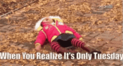 It's Only Tuesday Tantrums Girl GIF