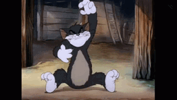 It's Only Wednesday Tom Cat Face Palm GIF