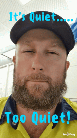 It's Quiet Too Quiet GIF