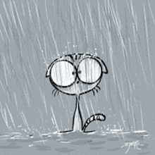 It's Raining Cute Curious Cat Lightning Shocked GIF