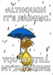 It's Raining You're Still My Sunshine Duck Umbrella GIF
