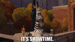 It's Showtime Marty The Zebra Madagascar GIF